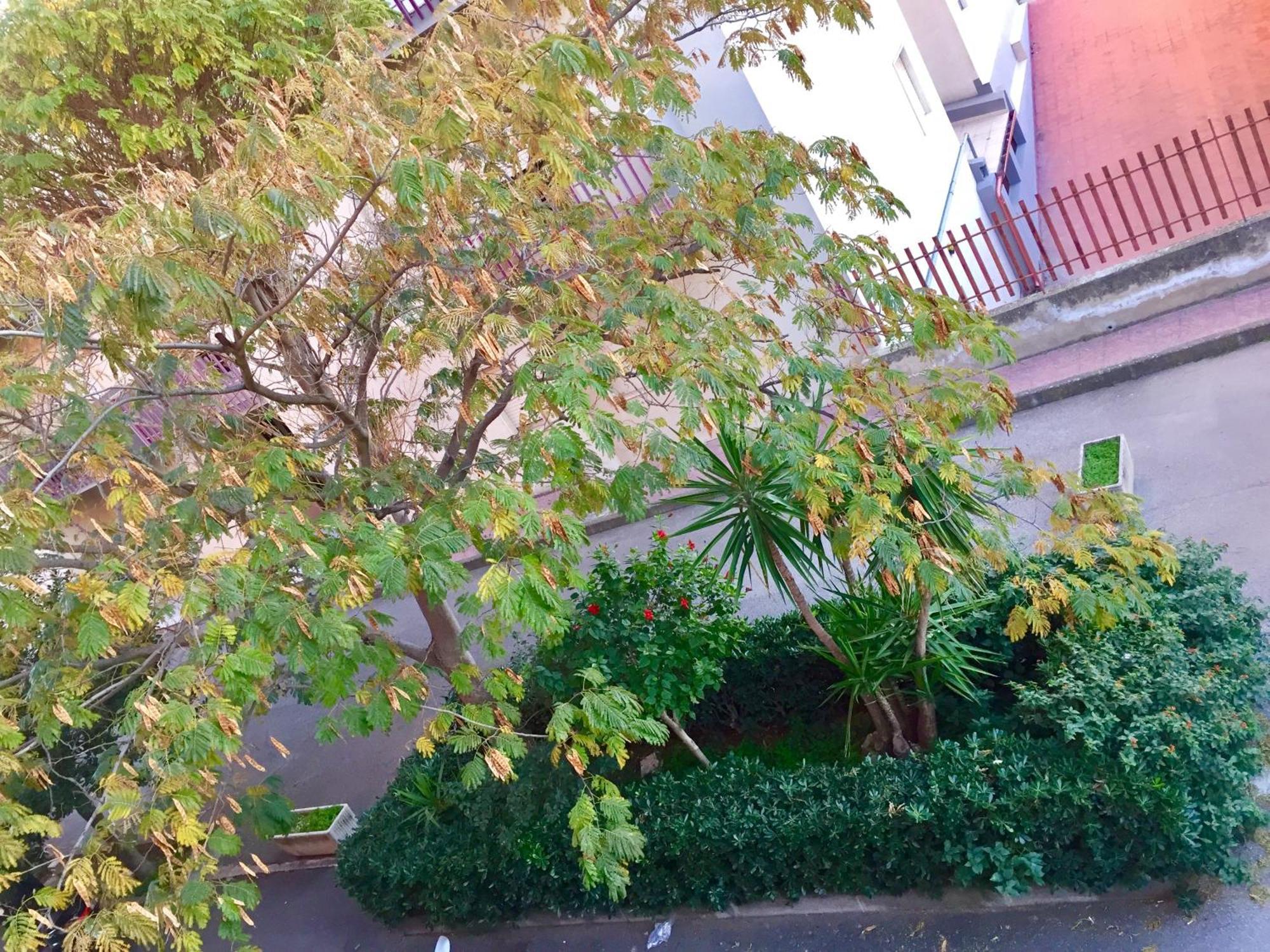 Casa Cristina Apartment Comiso Exterior foto